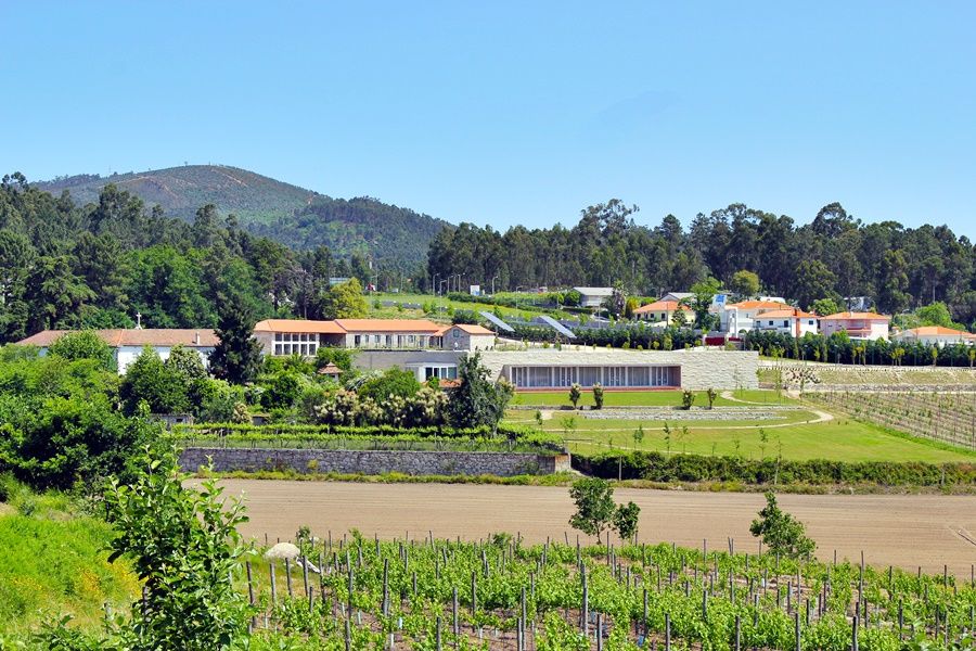 Lousada Country Hotel Εξωτερικό φωτογραφία